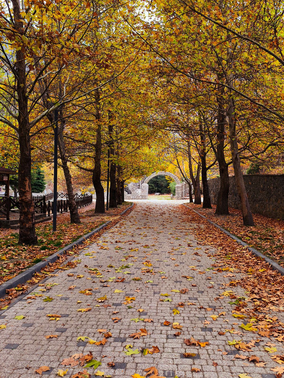 Konya’nın cennet köşesi sonbahar renkleriyle büyülüyor 21